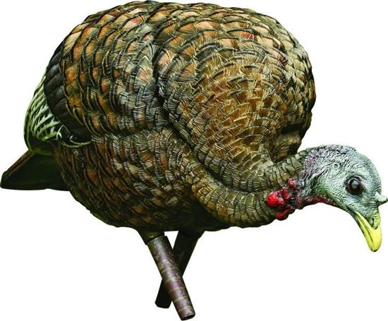 Avian-X AVX8007 8007 LCD Feeder Hen Turkey Deé, plein corps, gonflable