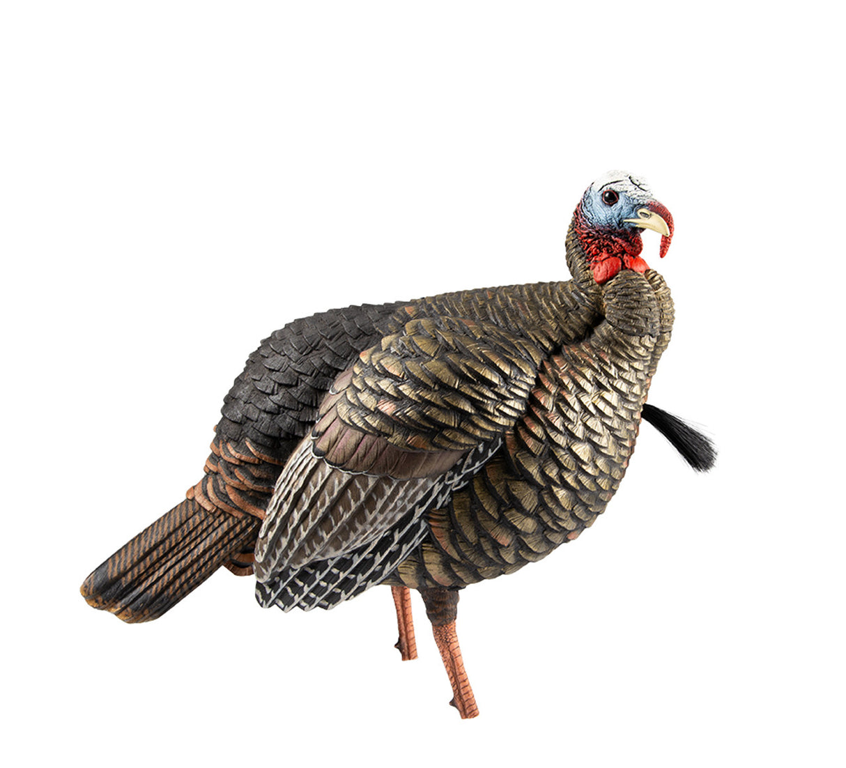AVIAN AVX-AVX8205 HDR Jake DECODE