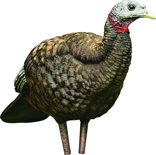 AVIAN-X AVX8008 8009 LCD BREEDER HEN TURKEY DECOY, FULL BODY, INFLATABLE