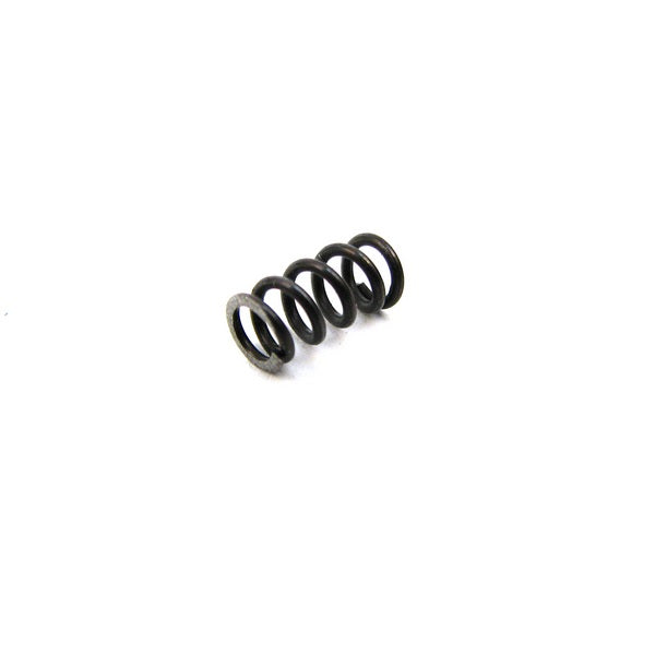 Tanfoglio Extractor Spring