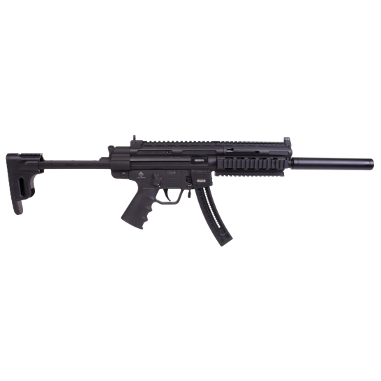 Armes de sport allemandes - GSG-16 Carbine Ria 22lr 16.25 "Syn 22 Rounds - Couleurs différentes