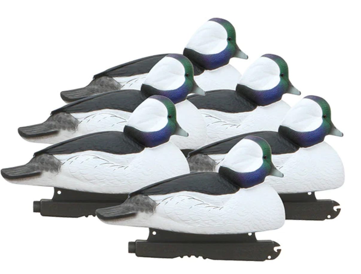 GHG Hunter Series Over Size Foam Filled Bufflehead Decoys