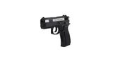 ASG CO2 4.5MM CZ75DT 2.5"