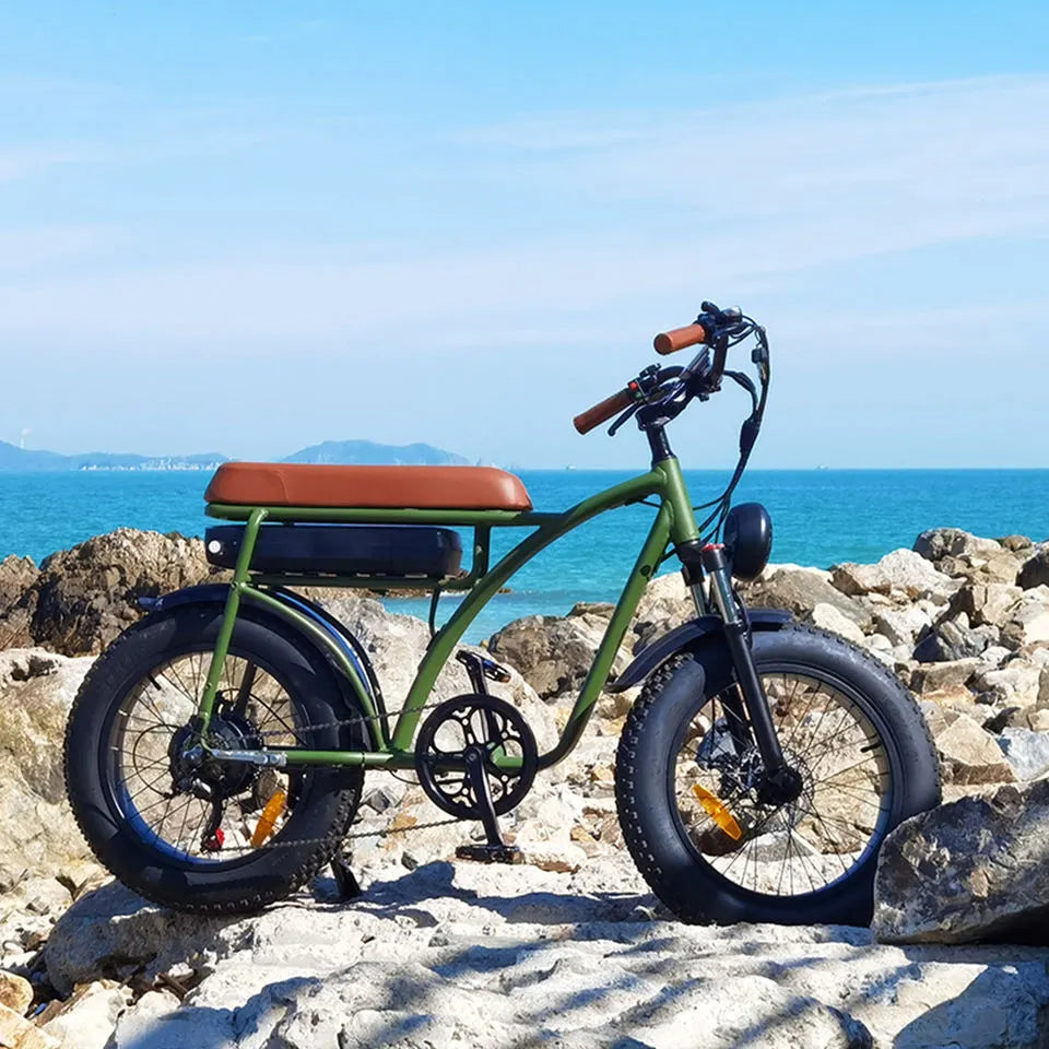 FXH-005 ELECTRIC MOUNTAIN BIKE 500W - 7 SPEED REAR HUB MOTOR - FRONT AND REAR DISC BRAKES - 20 INCH WHEELS - LED HEADLIGHT - 45-50KM BATTERY LIFE - INCLUDES BATTERY AND CHARGER - AVAILABLE IN TWO COLORS