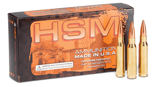 HSM .50AE AMMUNITION, 300GR, PLATED HOLLOW POINT 1326 FPS - BOX OF 20 RDS