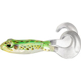 Frogs cibles en direct - différents types disponibles