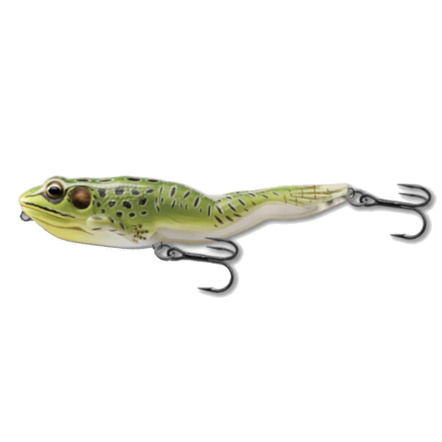 Frogs cibles en direct - différents types disponibles