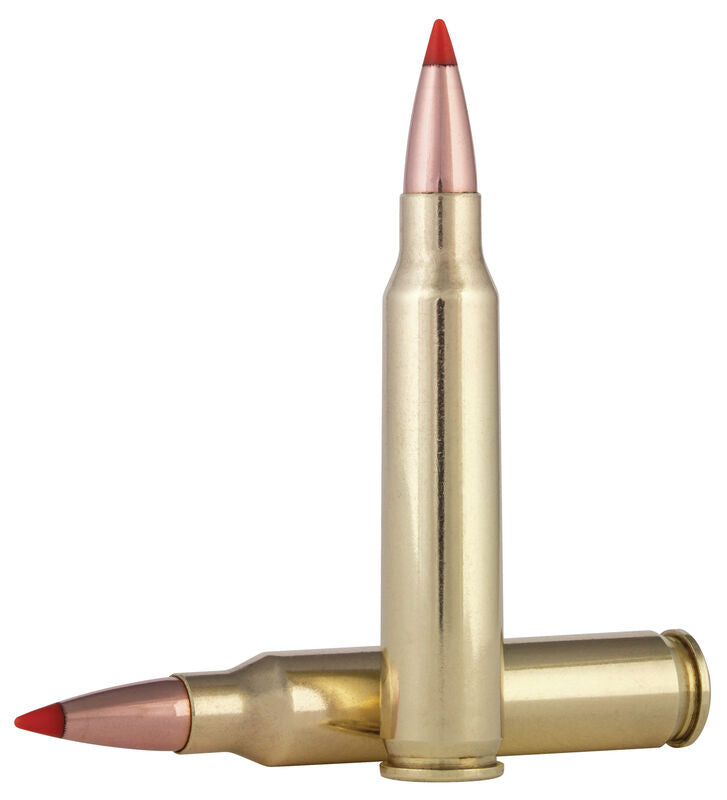 Varmint fédéral 223rem 53gr - Boîte de 20 tours